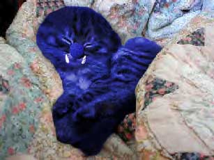 zzzZZZzzzzZZzz